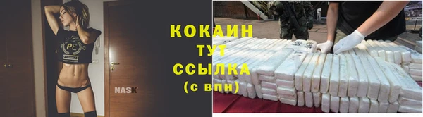 сатива Майский