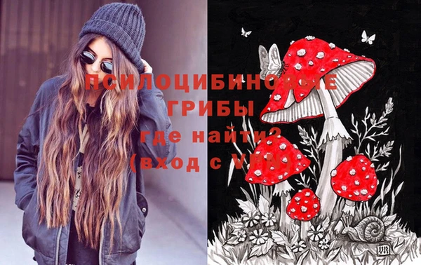 стафф Магадан