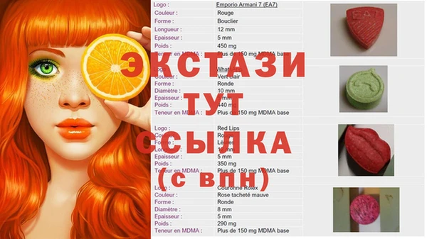 СК Вязьма