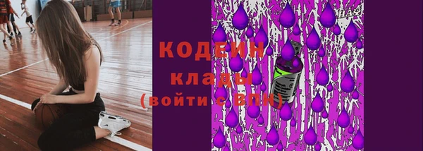 гашик Медвежьегорск