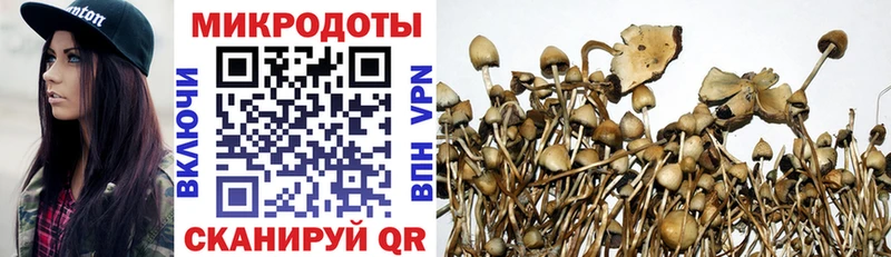 наркошоп  Данилов  Галлюциногенные грибы Psilocybine cubensis 