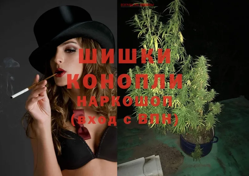 где купить наркоту  Данилов  Бошки Шишки Ganja 