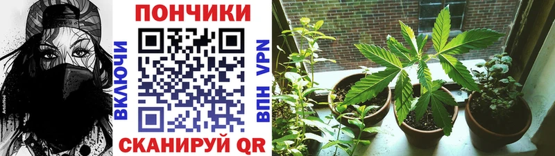shop состав  Данилов  Каннабис VHQ 